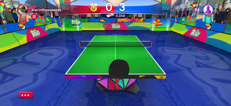 Ping Pong Fury - Sydney play with pro 